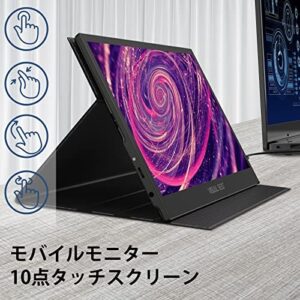 Here is the meta description:

"Upgrade your gaming or productivity with this 13.3'' Portable USB Type-C Monitor featuring 1080P FHD, IPS, and 10-point touch. Perfect for Xbox, PS4, Switch, laptop, PC, phone, Mac, Surface."