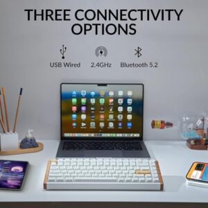 Get the ultimate typing experience with the Keychron K2 HE Wireless Mechanical Keyboard, featuring rapid trigger Gateron switches and customizable RGB lighting.