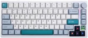 Experience silent gaming with the GamaKay TK75 V2, featuring 75% mechanical keyboard with TFT screen, hot swap RGB and Bluetooth/USB-C connectivity. Perfect for gamers seeking precise control and style.