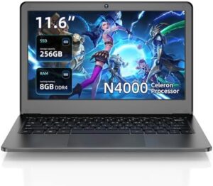 Here is the meta description:

"Upgrade your productivity with this slim light netbook featuring a dual core processor, 8GB RAM, and 256GB SSD. Perfect for students and business users, enjoy seamless connectivity with WiFi, Bluetooth, USB3.0, HDMI, and TF card support."