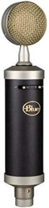Here is the optimized SEO meta description:

"Capture professional audio recordings with the Blue Baby Bottle SL XLR Condenser Microphone, featuring a large-diaphragm cardioid capsule and shockmount for reduced noise. Includes protective case."