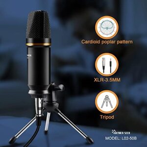 Here is the generated SEO meta description:

"Capture high-quality audio with this podcast equipment bundle featuring an aluminum alloy panel, studio condenser microphone, and DJ mixer. Perfect for streaming, recording, and DIY sound effects."
