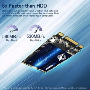 Upgrade your digital storage with the Dogfish SSD 4TB, featuring fast SATA 3 speeds and reliable M.2 2242 design for desktops, laptops, and notebooks - a great value without discount codes required!